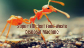 ants are super efficient food waste disposal machines