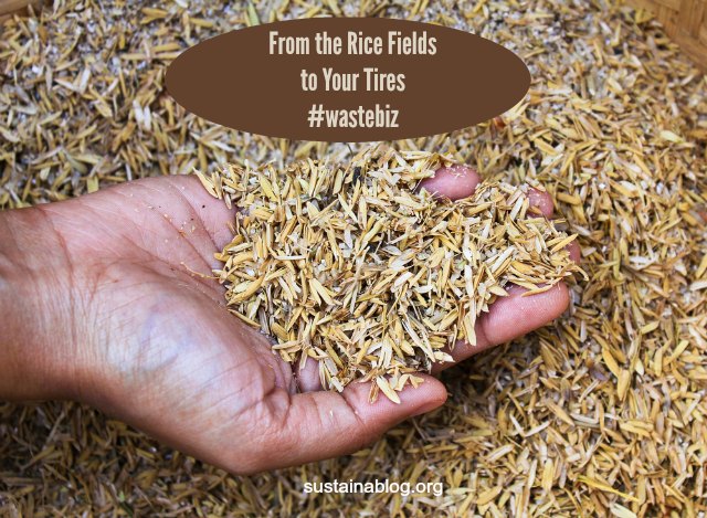 rice husks as a source of silica for tires