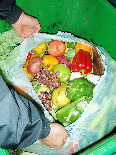 Fresh food gathered from dumpster diving