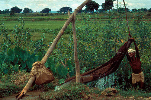 a rice farmer in bangladesh irrigates his fields