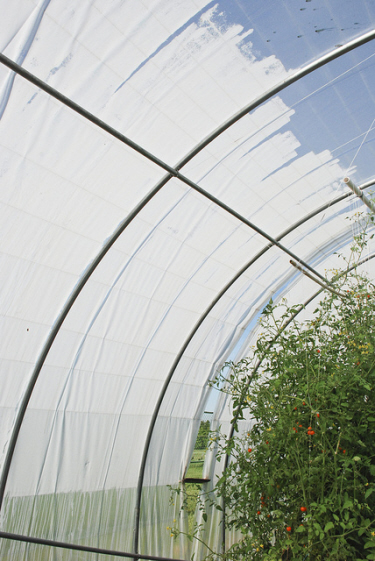 urban farming in baltimore: a hoop house at real food farm