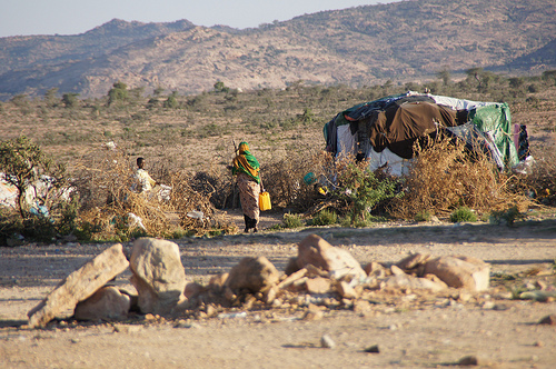 2011 extreme weather: drought in somalia