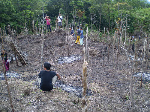reforestation project in the philippines