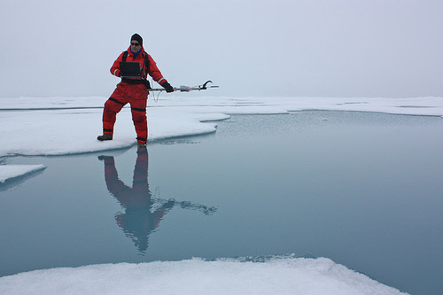 melting arctic sea ice