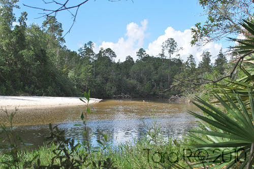 blackwater river state park