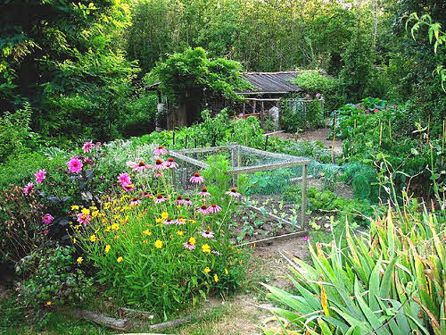 flower and vegetable garden