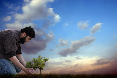 islam and the environment - protect the trees