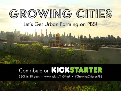 growing cities pbs kickstarter