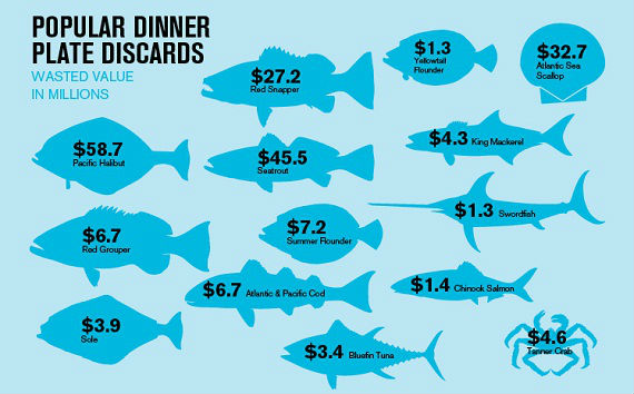 bycatch from us fisheries