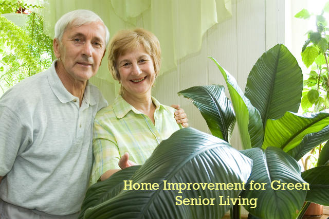 home improvement tips for green seniors