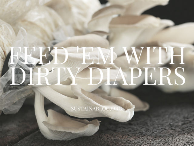 feed disposable diapers to mushrooms