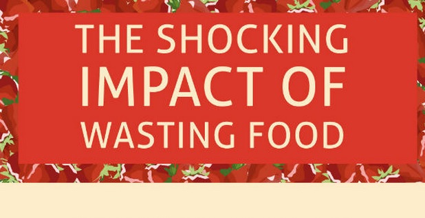 food waste facts infographic selection