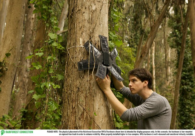 illegal logging sensor made of used cell phones
