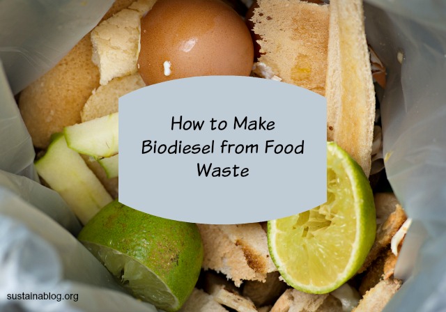 how to make biodiesel from food waste