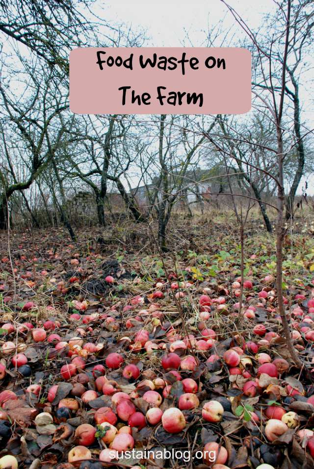 food waste on the farm