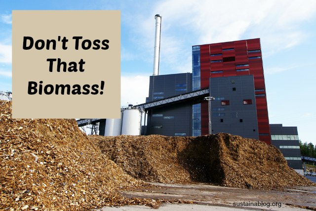 biomass to energy plant