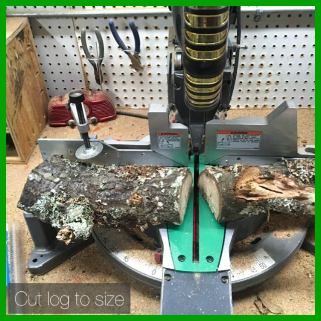 cut log to size
