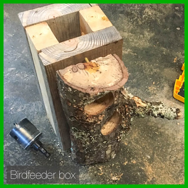 bird feeder box